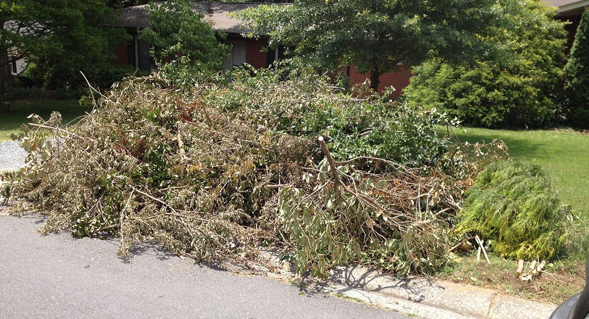 Brush removal in delaware